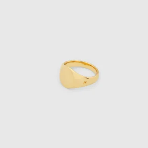 TOM WOOD RING MINI SIGNET GOLD